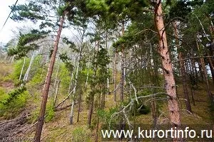 Відпочинок і лікування в Белокурихе () Відпочинок і лікування в Белокурихе