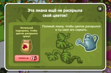 Відповіді на квест джунглі і екзотичні квіти від агента 003 в шарараме - дитячо-юнацька комісія (шарарам) Відповіді на квест джунглі і екзотичні квіти від агента 003 в шарараме - дитячо-юнацька комісія