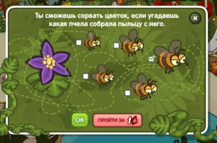 Відповіді на квест джунглі і екзотичні квіти від агента 003 в шарараме - дитячо-юнацька комісія (підказки) Відповіді на квест джунглі і екзотичні квіти від агента 003 в шарараме - дитячо-юнацька комісія
