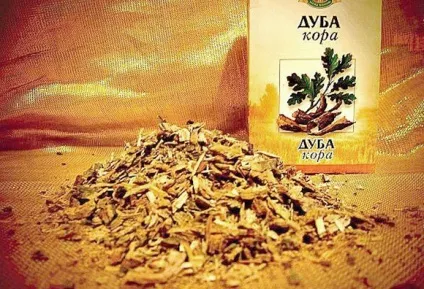 Відвар кори дуба для волосся лікування, догляд, фарбування (лікування) Відвар кори дуба для волосся лікування, догляд, фарбування