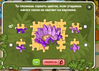 Відповіді на квест джунглі і екзотичні квіти від агента 003 в шарараме - дитячо-юнацька комісія (агент 003) Відповіді на квест джунглі і екзотичні квіти від агента 003 в шарараме - дитячо-юнацька комісія