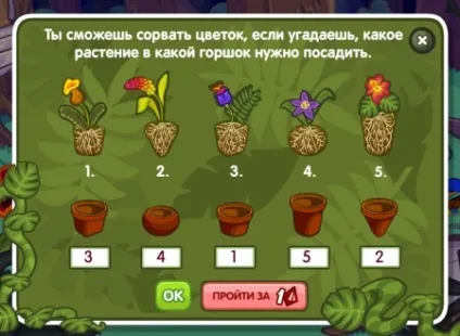 Відповіді на квест джунглі і екзотичні квіти від агента 003 в шарараме - дитячо-юнацька комісія (хижі рослини) Відповіді на квест джунглі і екзотичні квіти від агента 003 в шарараме - дитячо-юнацька комісія
