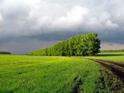 Охорона і захист ґрунтів (навколо ставків водойм) Охорона і захист грунтів
