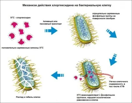 Від яких недуг допомагає полоскання хлоргексидином (методи лікування) Від яких недуг допомагає полоскання хлоргексидином