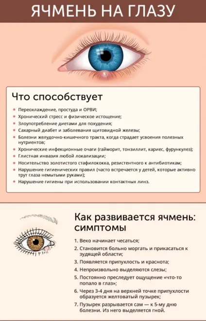Від ячменю на оці препарати і ліки для дорослих і дітей ніж лікувати, краплі і мазі (ліки) Від ячменю на оці препарати і ліки для дорослих і дітей ніж лікувати, краплі і мазі