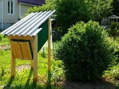 Пасіка для початківців з чого почати, що робити (чого) Пасіка для початківців з чого почати, що робити