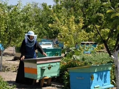 Пасіка для початківців з чого почати, що робити (чого) Пасіка для початківців з чого почати, що робити