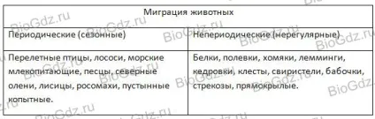 параграф 52