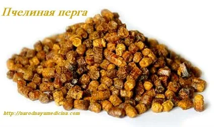 Бджолиний пилок і перга