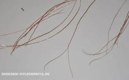 Павук з бісеру і намистин покрокова схема плетіння для початківців