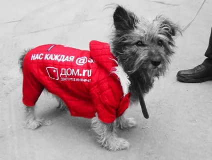 Партизанами або креативний маркетинг (креативний маркетинг) Партизанами або креативний маркетинг