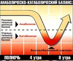 Харчування на ніч