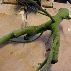 Пивний кухоль своїми руками, фотолюбитель (гуртка) Пивний кухоль своїми руками, фотолюбитель