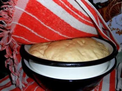 Пиріжки з лівером (смажені радянські, печені) рецепти (пиріжки) Пиріжки з лівером (смажені радянські, печені) рецепти