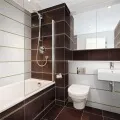 Плитка для туалету (фото)