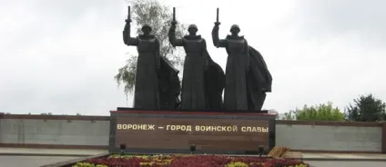 Чому іноземці вважають російську кмітливість грізною зброєю (армія флот які) Чому іноземці вважають російську кмітливість грізною зброєю