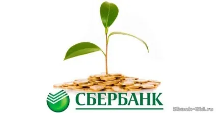 Чому не відображається ощадкнижка в ощадбанк онлайн (ощадкнижка) Чому не відображається ощадкнижка в ощадбанк онлайн