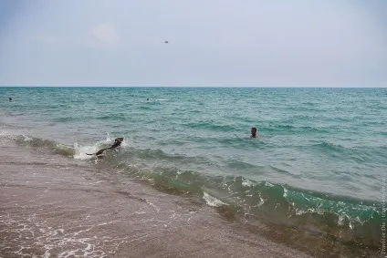Пляж лара (lara beach), анталия, туреччина огляд з фотографіями (пляж) Пляж лара (lara beach), анталия, туреччина огляд з фотографіями