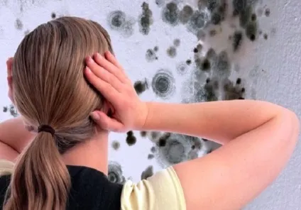 Цвіль на стінах як позбутися від цвілі на стінах, як видалити цвіль (видалити) Цвіль на стінах як позбутися від цвілі на стінах, як видалити цвіль