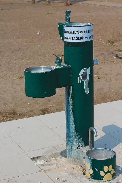 Пляж лара (lara beach), анталия, туреччина огляд з фотографіями (beach) Пляж лара (lara beach), анталия, туреччина огляд з фотографіями