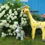 Вироби з пнів і корчів (вироби) Вироби з пнів і корчів