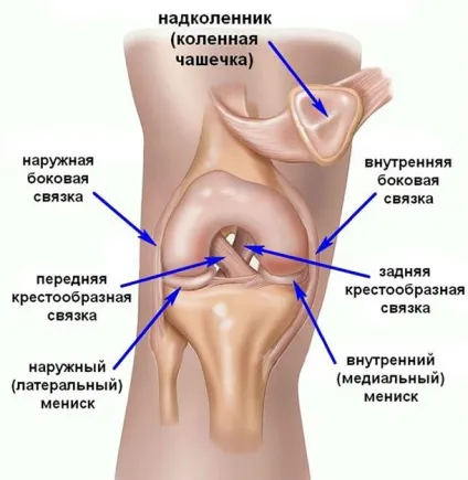 Чому клацають суглоби на ногах причини виникнення та як вилікувати (клацають) Чому клацають суглоби на ногах причини виникнення та як вилікувати