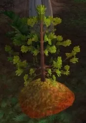 Прокачуємо репутацію за фракцію оракули - world of warcraft - wow, секрети, аддони, новини, хакі (який) Прокачуємо репутацію за фракцію оракули - world of warcraft - wow, секрети, аддони, новини, хакі