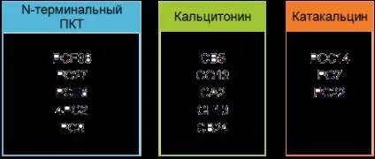 Прокальцитонін і кальцитонін (проведенні імунологічних досліджень) Прокальцитонін і кальцитонін
