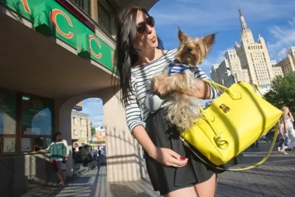 Перевірено куди в москві пускають з собакою, люди в місті, Київ, московські новини (новини) Перевірено куди в москві пускають з собакою, люди в місті, Київ, московські новини