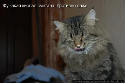 Про кота, і про сметану
