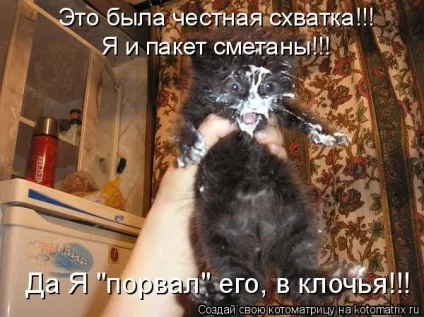 Про кота, і про сметану