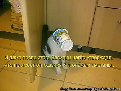 Про кота, і про сметану