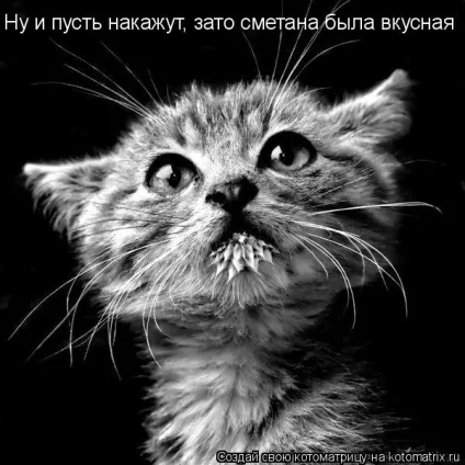 Про кота, і про сметану