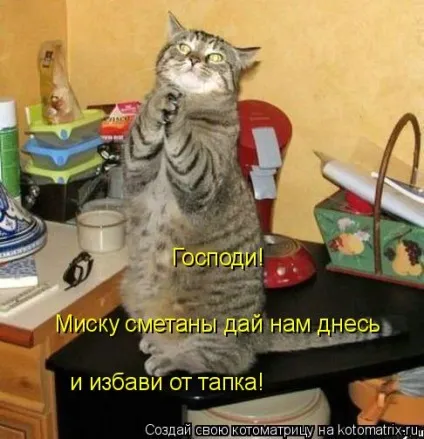 Про кота, і про сметану