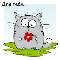 Підкажіть як зробити кефір, мітки молоко, швидко (молоко) Підкажіть як зробити кефір, мітки молоко, швидко