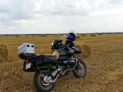 Купівля гусака