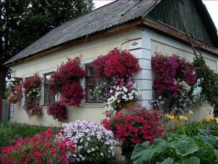 Підвісні клумби оформляємо сади піраміди на своїй ділянці (підвісні квіти саду) Підвісні клумби оформляємо сади піраміди на своїй ділянці