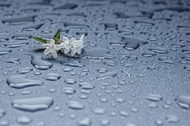 Підлоги на кухні - яке покриття вибрати