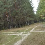 Правила проїзду нерегульованих рівнозначних перехресть