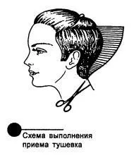 Правила стрижки волосся і термінологія (волосся) Правила стрижки волосся і термінологія