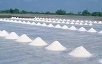 Правильна морська сіль корея або франція (необроблена морська сіль) Правильна морська сіль корея або франція