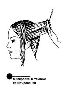 Правила стрижки волосся і термінологія (крайової лінії росту) Правила стрижки волосся і термінологія