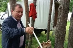 Привітання з сабантуєм - реклама в Бугульме