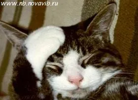 Правда про кредити банків, твій стиль життя (банків) Правда про кредити банків, твій стиль життя