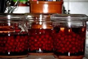 Посттравматичний артроз симптоми і лікування колінного, гомілковостопного суглоба і інших (колінного) Посттравматичний артроз симптоми і лікування колінного, гомілковостопного суглоба і інших
