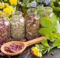 Причини і симптоми гастриту - лікування народними засобами (лікування) Причини і симптоми гастриту - лікування народними засобами