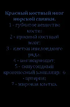 Препарат № 77