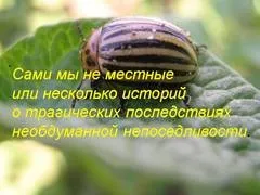 Презентація на тему - вплив людини на природу - з біології для 4 класу (природу) Презентація на тему - вплив людини на природу - з біології для 4 класу