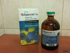 Препарат енроксіл і його інструкція із застосування, користь в ветеринарії (препарат) Препарат енроксіл і його інструкція із застосування, користь в ветеринарії