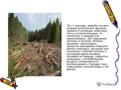 Презентація на тему вплив людини на природу (вплив людини природу) Презентація на тему вплив людини на природу